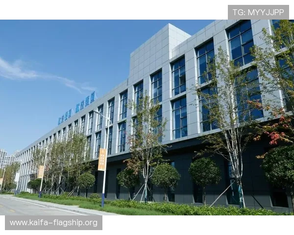 凯发旗舰网站怎么样啊，平台安全可靠吗用户体验如何详尽分析